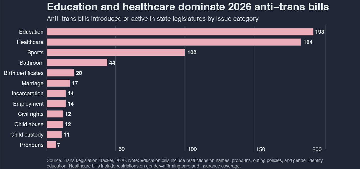 Chart showing anti-trans bills by category.