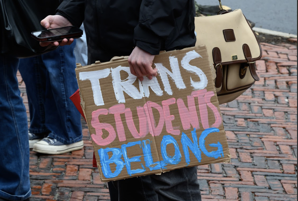 Protest image with a message affirming that trans students belong.